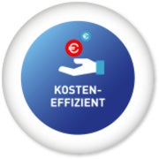 Kosteneffizient